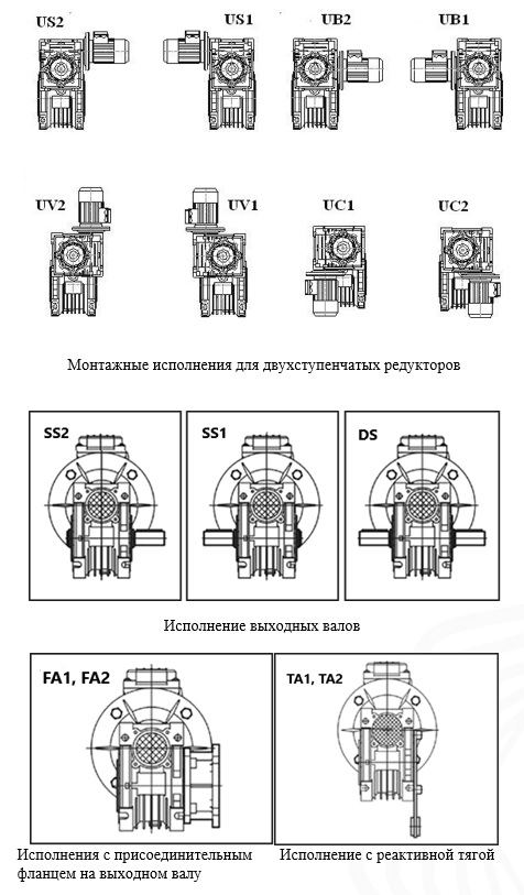 Foto_41_2